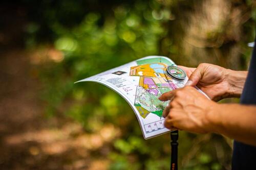 Course d'orientation en forêt